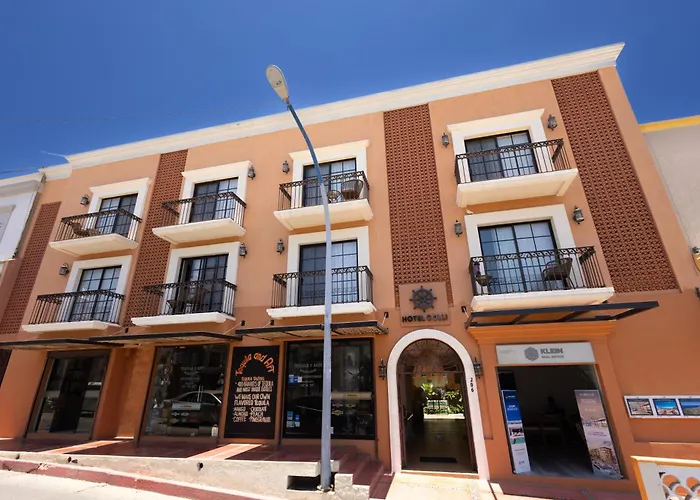 Colli 3* San José del Cabo