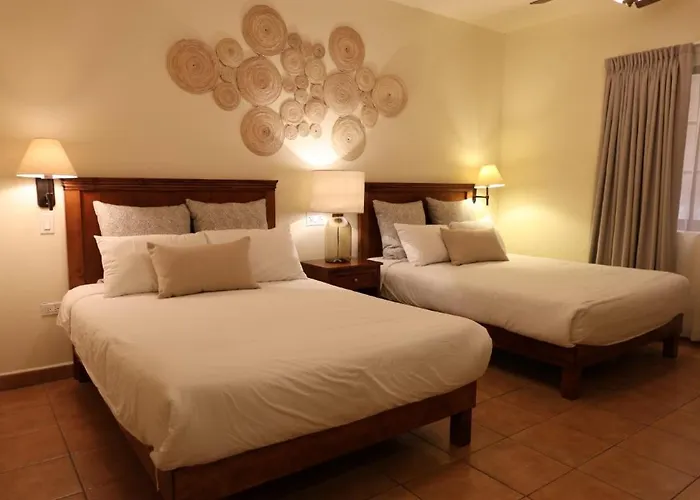 Colli San José del Cabo